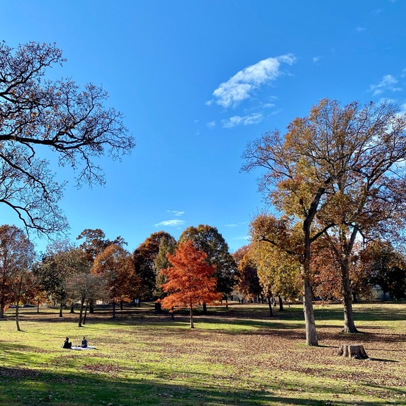 Meet your Posher, Flowers and Oak Vintage & Modern - Picture 1 of 3